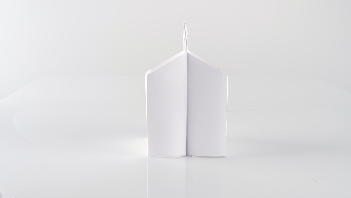 Side view of the folded carrier, where the two handle panels meet