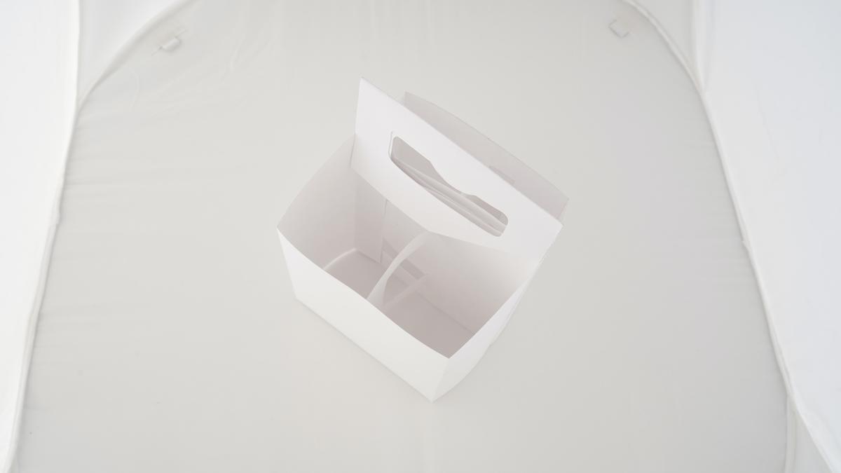 Looking down into the carrier at the divider for four bottles