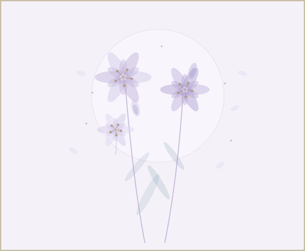 Lily illustration