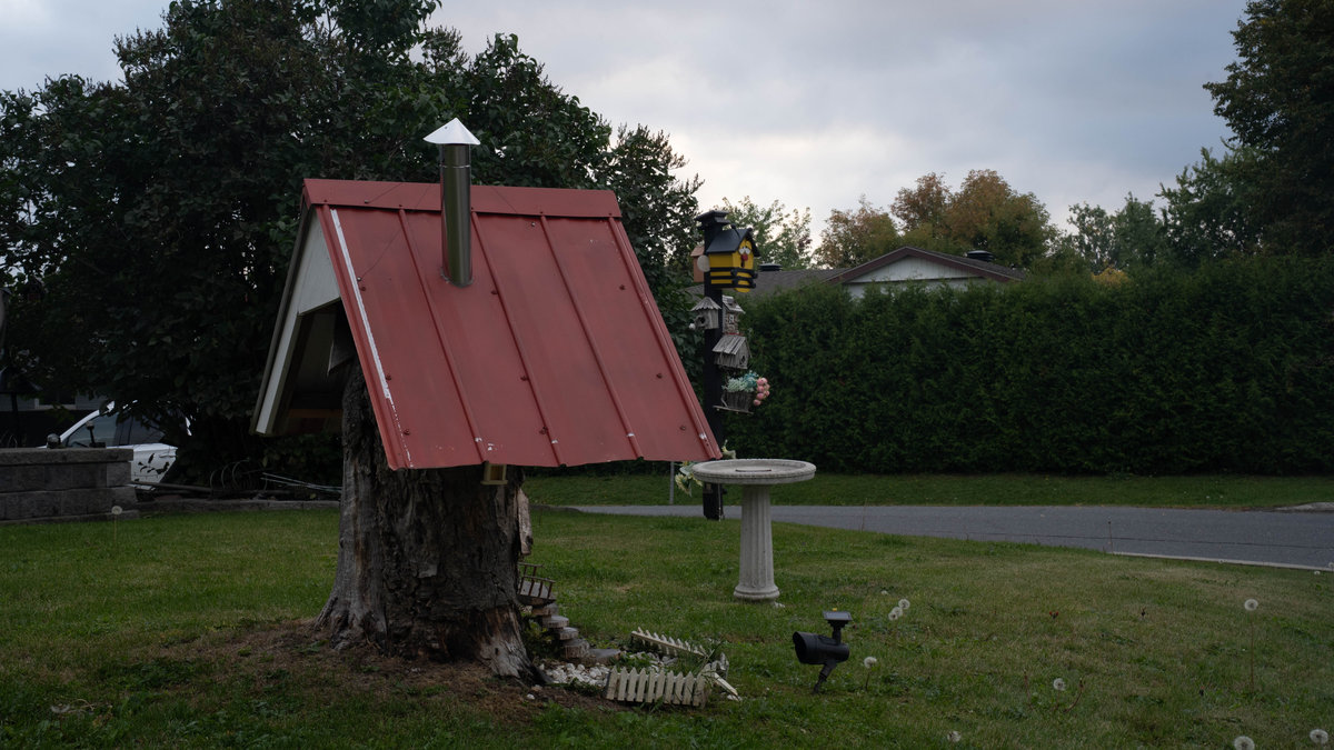 The tree house in flat daylight under a grey sky