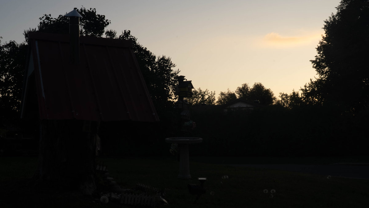 The tree house as a dark silhouette against a pale sunset sky