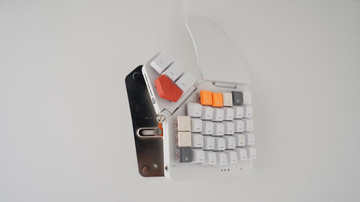 Unedited product photo of one half from above at an angle